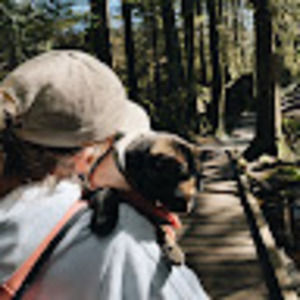 Meet your Posher, Bronwyn